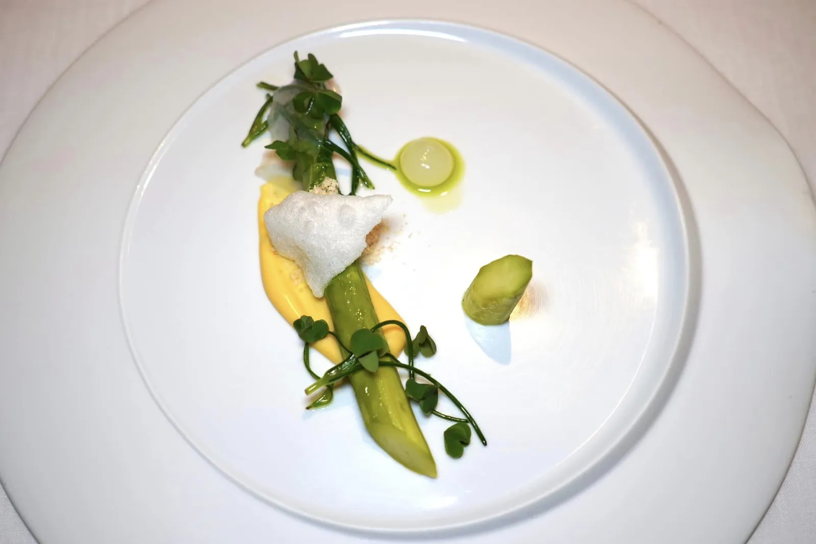 Green Asparagus / Lardo / Parmesan Green Asparagus หรือหน่อไม้ฝรั่งเขียวที่กำลัง In Season ในประเทศฝรั่งเศส เชฟคัดขนาดมาอย่างดีจับคู่กับ Lardo หรือไขมันหมูช่วยเพิ่มความมันและเค็ม นอกจากนี้ยังมีความหอมของ Parmesan Cheese นำเสนอมาในรูปแบบของทั้ง Mousse และ Chip ข้างกันคือ Yuzu Gel รสเปรี้ยวช่วยเติมแต่งรสชาติให้กลมกล่อมมากยิ่งขึ้น (15/20)