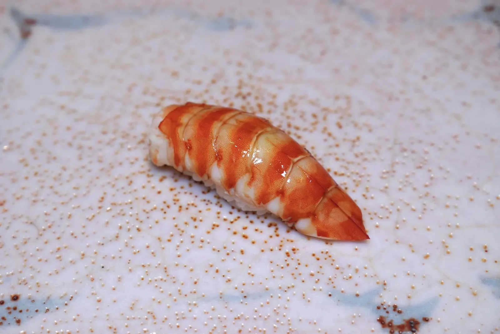KURUMA EBI Tiger shrimp from Kagoshima เนื้อกุ้งมีความกรอบ แน่น รสชาติหวานปานกลาง ตรงตามคุณสมบัติของคุรุมะเอบิชั้นดี