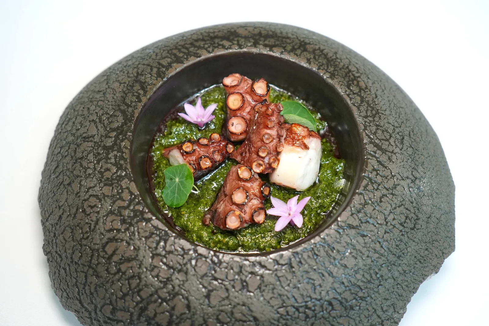 Pop a la catalana Octopus, sofrito, picada เชฟได้หยิบยกหนึ่งในเมนูท้องถิ่นที่มีชื่อเสียงโด่งดังไปทั่วโลกอย่าง Pulpo a la Gallega หรือหนวดหมึกยักษ์ที่นำเสนอมาในสไตล์ Galicia โดยการนำไปสะดุ้งด้วยน้ำร้อนต่อด้วยการต้มจนได้เนื้อสัมผัสนุ่มหนึบ องค์ประกอบด้านล่างรองด้วย Sofrito ที่ประกอบไปด้วยพริกหวานและมะเขือเทศรสชาติเข้มข้น องค์ประกอบสีเขียวคือ Picada เตรียมมาจากพาสลีย์และถั่วอัลมอนด์นั่นเอง (14/20)