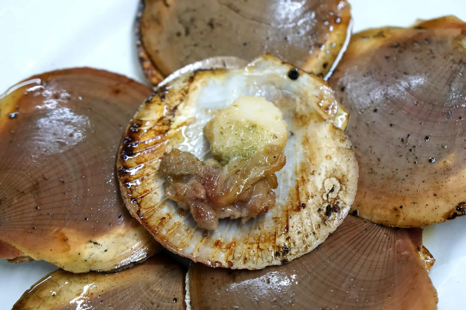 หอยเชลล์ทรงเครื่อง (200) Grilled scallops เปิดออกมาจะพบกับเนื้อหอยเชลล์ มีกลิ่นหอมของถ่านเเละเนย เนื้อหอยสุกกำลังดี นุ่ม ละมุนลิ้น ตัดเนื้อสัมผัสกันกับเนื้อหมูที่วางมาข้างกัน ทำให้หอยเชลล์ย่างของเอลวิสเเตกต่างจากร้านอื่น อร่อยไม่ซ้ำใคร (15/20)