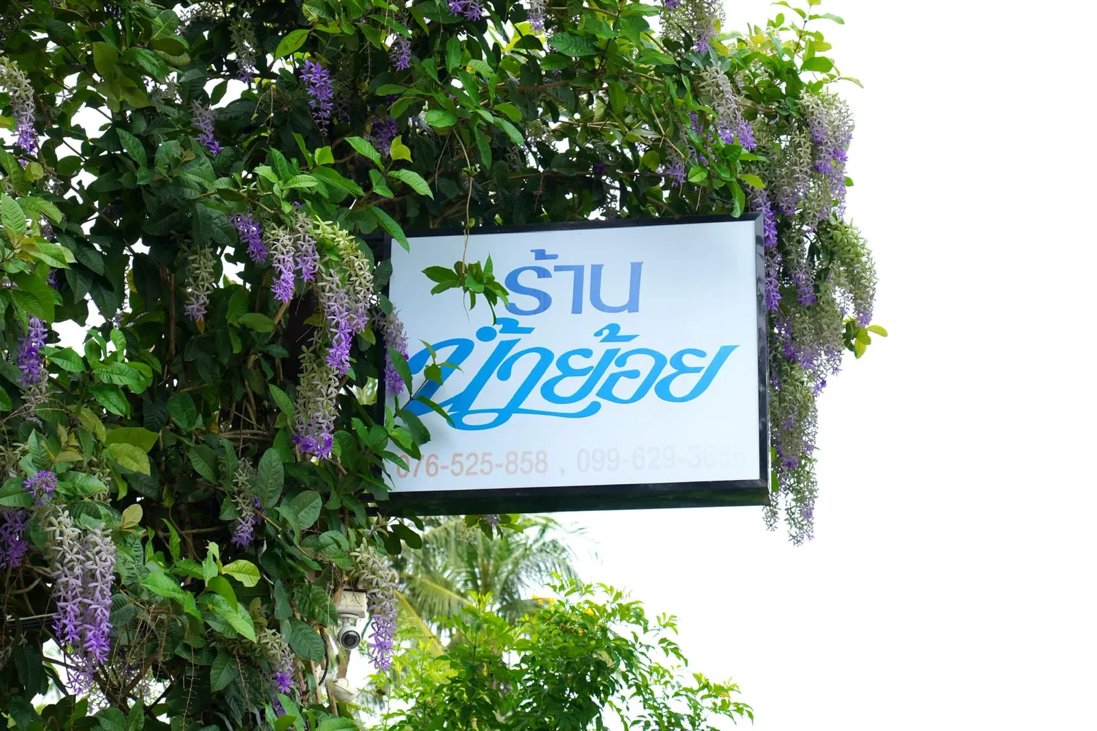 ที่มาของชื่อน้ำย้อยต้องเล่าย้อนไปสมัยเกือบ 30 ปีก่อนตั้งแต่สมัยลุงทองเจ้าของร้านรุ่นแรกเปิดร้านใหม่ ๆ ด้วยความที่มีขนาดเล็กมากและมีเพดานมุงด้วยสังกะสีทำให้เมื่อเวลาฝนตก (ซึ่งพบเจอได้ตลอดปีในภูเก็ต) จะมีน้ำรั่วไหลย้อยลงมาจนลูกค้าเริ่มนำมาใช้เป็นกิมมิกเรียกร้านอาหารแห่งนี้