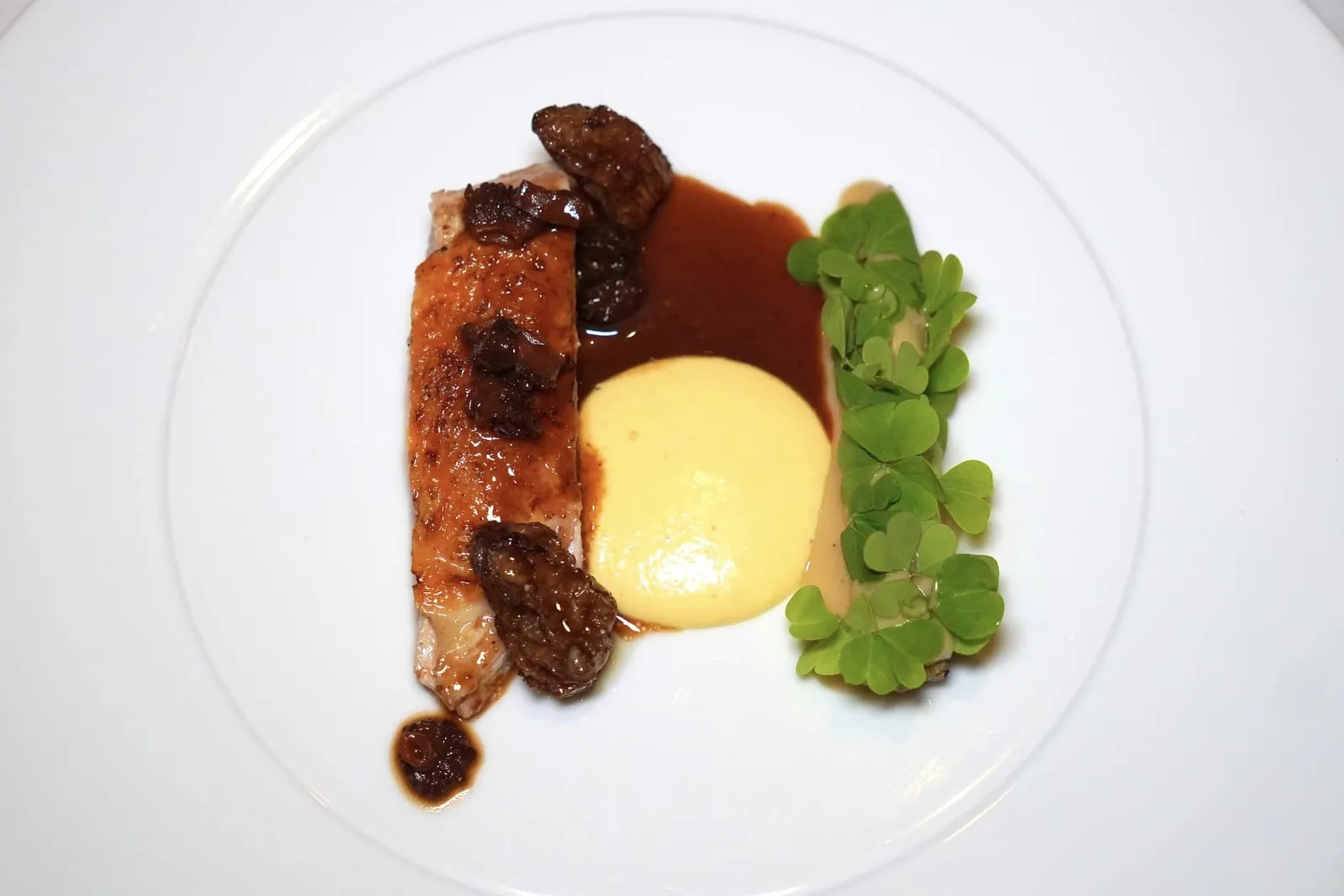 GUINEA FOWL Charcoal Grilled | Baby Corn | Corn Mousse | Morel | Coffee Emulsion | Morel Sauce Guinea Fowl หรือไก่ต๊อกย่างถ่านมาสุกกำลังดีให้เนื้อสัมผัสที่นุ่มพอเหมาะจับคู่กับกับซอสเห็ดโมลเรลรสชาติเข้มข้น ข้าง ๆ กันคือข้าวโพดเบบี้คอร์นและมูสข้าวโพดที่ผสมผสานกันกับอโรมาของกาแฟจนหอมละมุน สุดท้ายคือเห็ดโมเรลที่มีเนื้อสัมผัสนุ่มหนึบรวมไปถึงเห็ดโมเรลยัดให้ให้ความหอมมันและครีมมี่อีกด้วย (16/20)