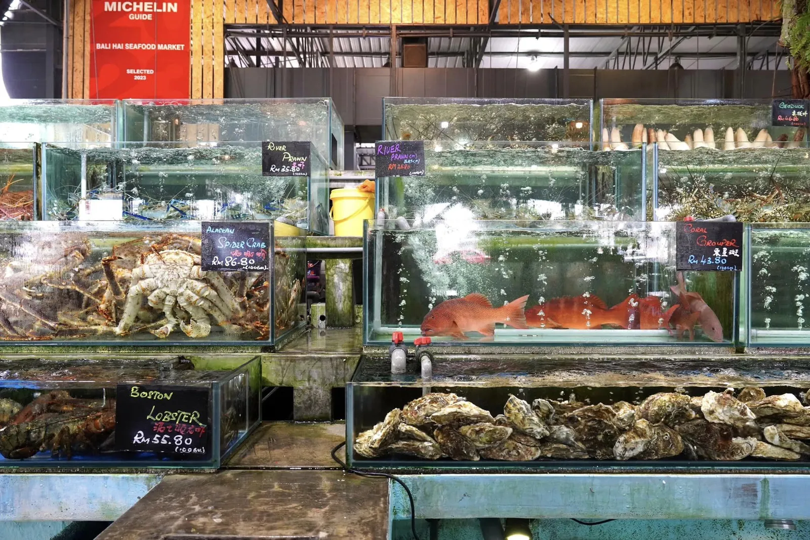 🎗 Bali Hai Seafood Market (巴厘海鮮市場) เป็นร้านอาหารทะเลชื่อดังในเมือง Georgetown ที่เปิดทำการมานานเกินกว่า 10 ปีโดยมีจุดเด่นคือตู้ปลาจำนวนมากที่วางเรียงซ้อนกันดูคล้ายกับอควอเรี่ยมขนาดใหญ่