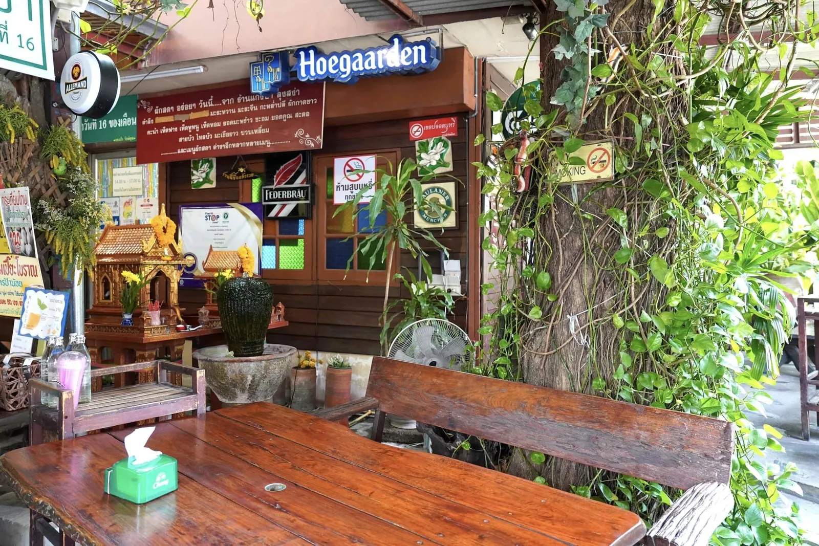 🎗 แกงป่าลุงสง่า เป็นร้านอาหารธุรกิจครอบครัวที่เปิดทำการมาตั้งแต่ปีพ.ศ. 2520 เจ้าของร้านรุ่นแรกคือคุณสง่า และภรรยาคือคุณกรทิพย์ สุขบาง เริ่มต้นเปิดร้านขายขนมและกาแฟในย่านประชาชื่นก่อนจะย้ายมายังตำแหน่งปัจจุบันในปี พ.ศ. 2524 และปรับเปลี่ยนรูปแบบร้านมาเสิร์ฟอาหารป่าภายใต้ชื่อที่เรียบง่ายว่า “ร้านแกงป่า”