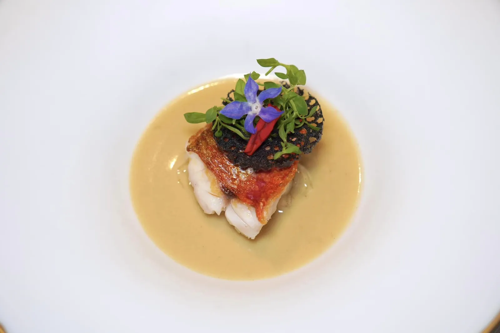 RED MULLET WITH DAIKON AND MEUNIERE SAUCE. Arrom ปลา Red Mullet จากท้องทะเล Mediterranean ย่างจนสุกท็อปด้วยแผ่นขนมปังกรอบที่เตรียมมาจากดีหมึกซึ่งเชฟเตรียมออกมาได้ดีมาก ๆ ด้านล่างคือชิ้นผักกาดหัว ซอสสีเหลืองนวลรอบ ๆ คือ Muniere ให้ความหอม มัน และรสชาติเปรี้ยวที่พอเหมาะ (16/20)