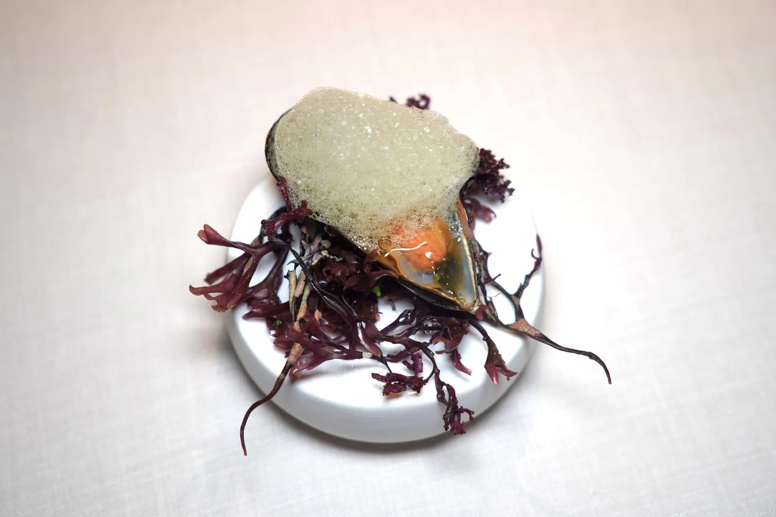 Sea Appetizers: Galician mussels with smoke piquillo pepper ถัดมาคือหอยแมลงภู่จากแคว้น Galicia นุ่มหนึบ เชฟเสิร์ฟมากับพริก Piquilo รมควันให้อโรมาเฉพาะตัวและรสขมเบา ๆ เสริมด้วยความอุมามิของสาหร่าย Salicornia (17/20)