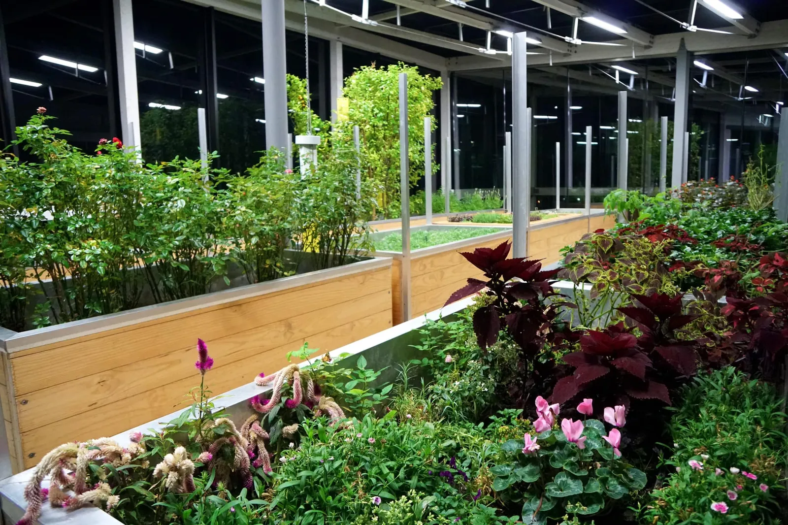 ส่วนของ Greenhouse ที่ชั้นบนสุดของร้านโดยเชฟได้เพาะพืชเเละผลไม้นานาชนิดเอาไว้ใช้กับอาหารที่จัดเสิร์ฟในร้าน