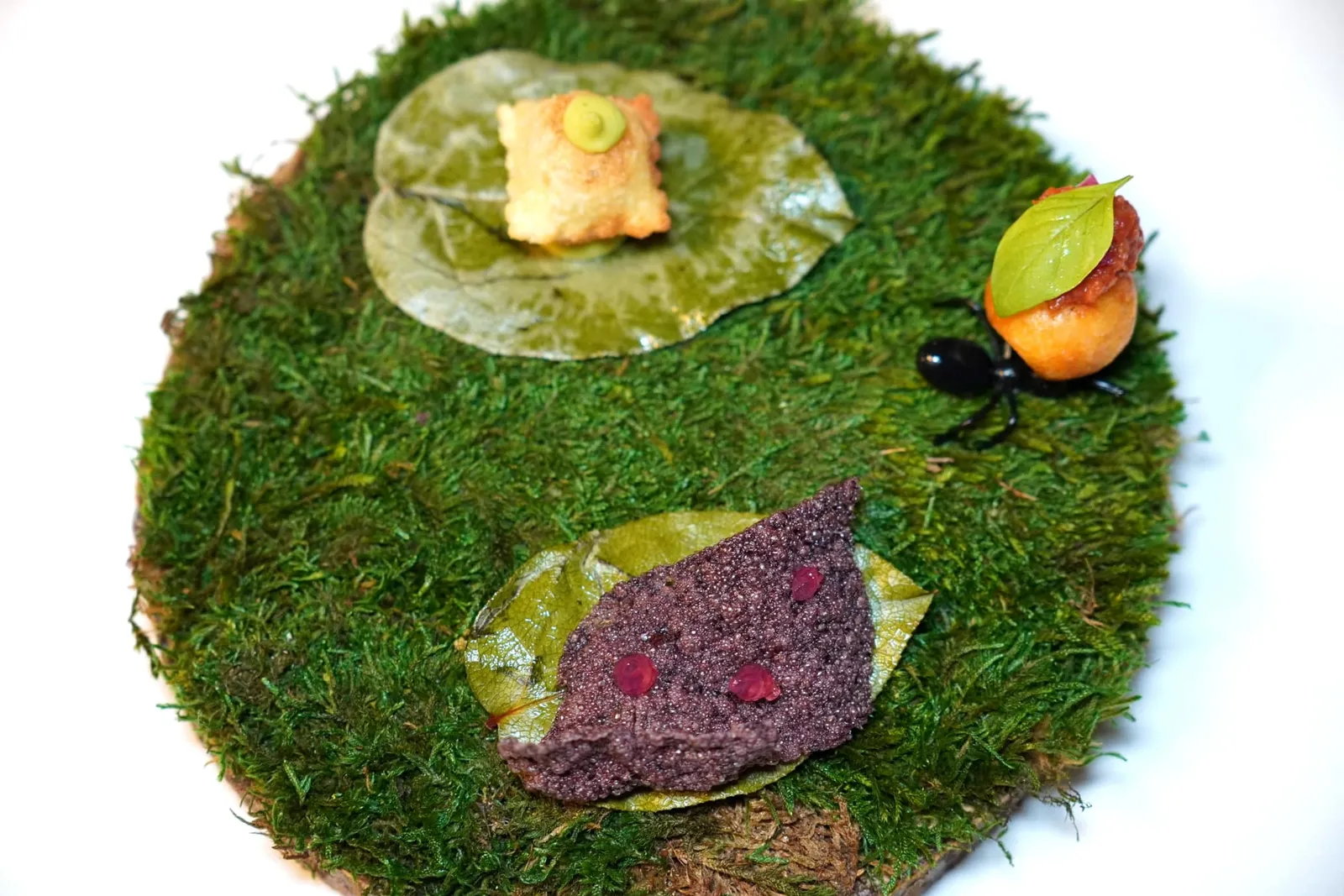 Amuse-bouche เริ่มต้นด้วยของว่าง 3 อย่าง ฝั่งขวามือคือ Cheese Ball ทอดภายในบรรจุ 36-Month Parmigiano Reggiano ด้านบนท็อปด้วยซอสมะเขือเทศแห้งให้ความเปรี้ยวอุมามิและ Tropea Onion ซึ่งเป็นวัตถุดิบสำคัญที่ชูรสหวานได้อย่างลงตัว ถัดมาคือ Carasau Bread กรอบ ๆ ด้านบนคือ Guacamole Sauce เตรียมมาจากอโวคาโด สุดท้ายคือแผ่น Cracker กรอบที่เตรียมมาจาก Venere Black Rice ท็อปด้วยเจลหัวหอมนั่นเอง (14/20)