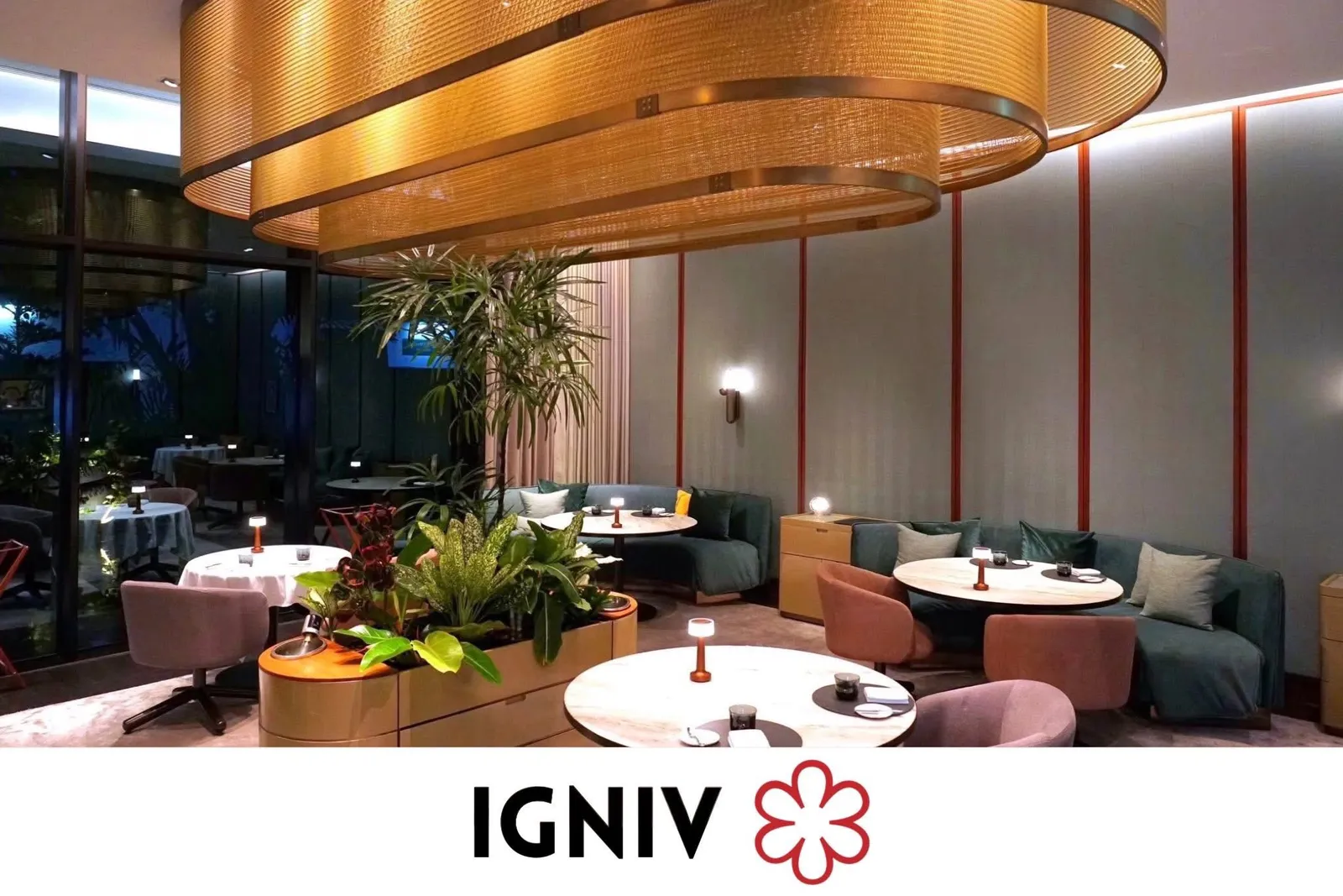 IGNIV