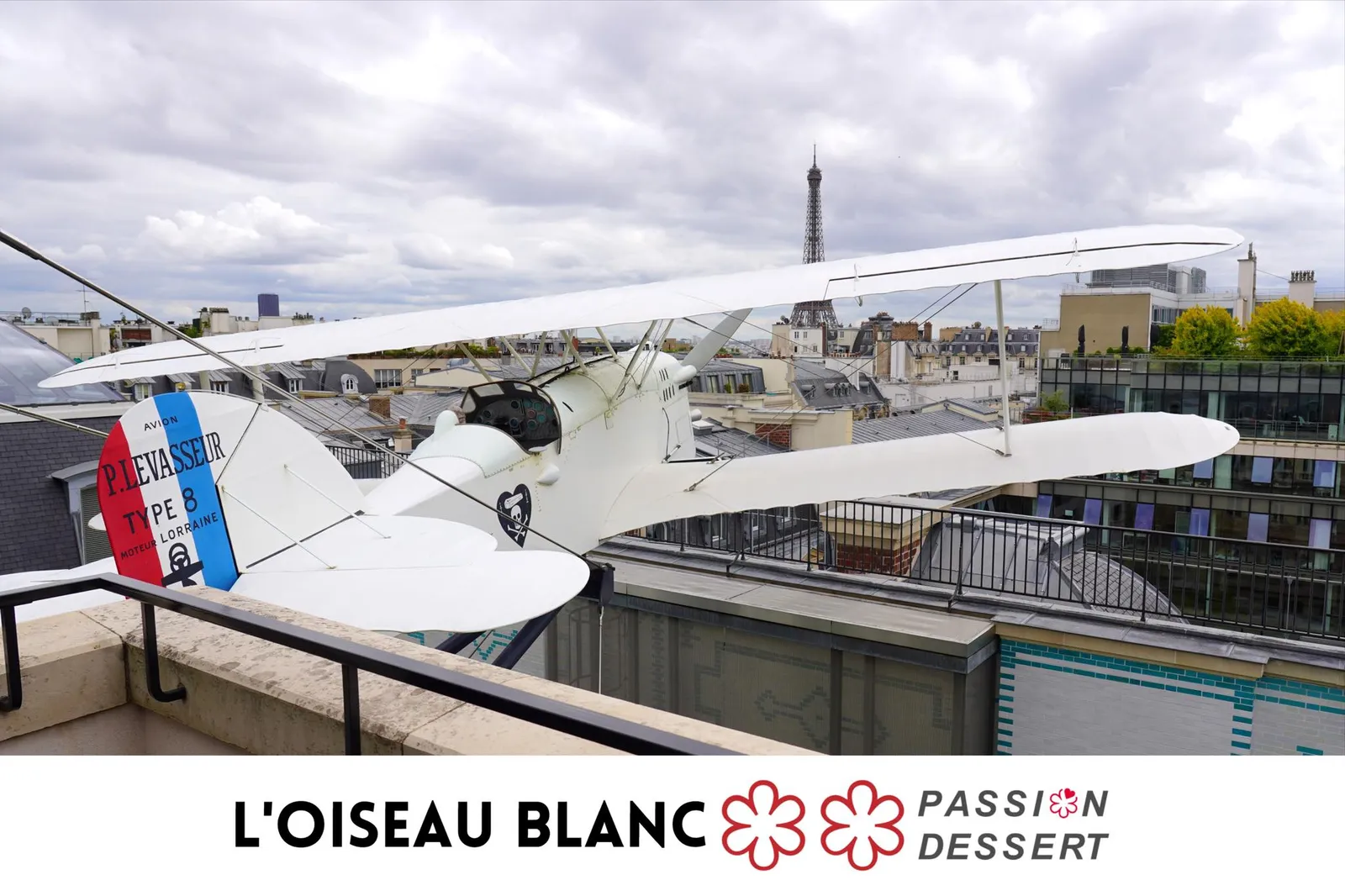 L'Oiseau Blanc