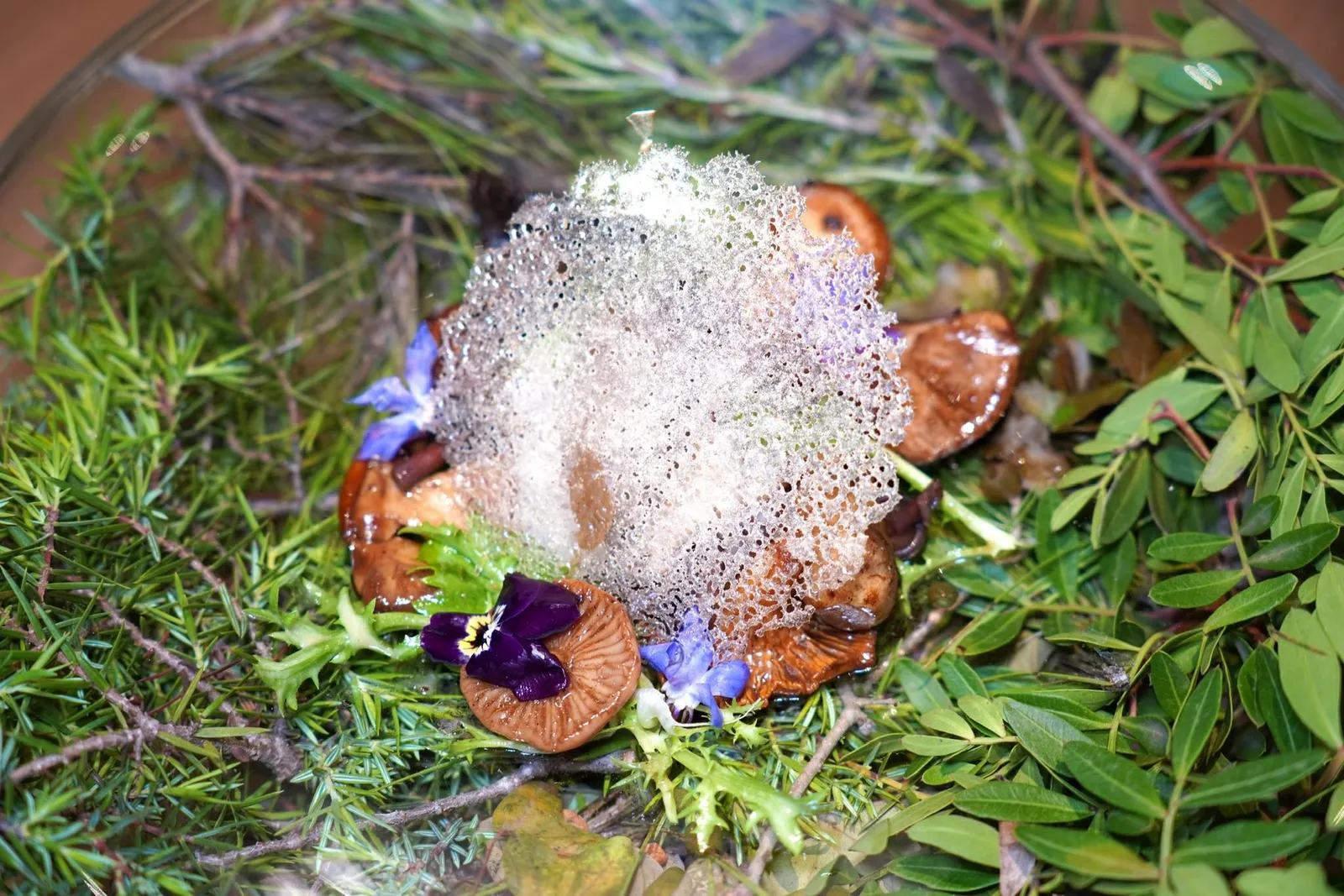 Assiette sauvage de champignons, Roquette, pissenlits et ses fleursคอร์สพิเศษที่เชฟเสิร์ฟมาเพิ่มให้กับเราในวันนี้คือจานที่รวบรวมเห็ดป่าตามฤดูกาลหลายชนิดเข้ามาไว้ในจานเดียวไม่ว่าจะเป็น Trompette de la Mort, Cèpes, Pied-de-mouton และ Girolles เข้าไว้ด้วยกัน (17/20)