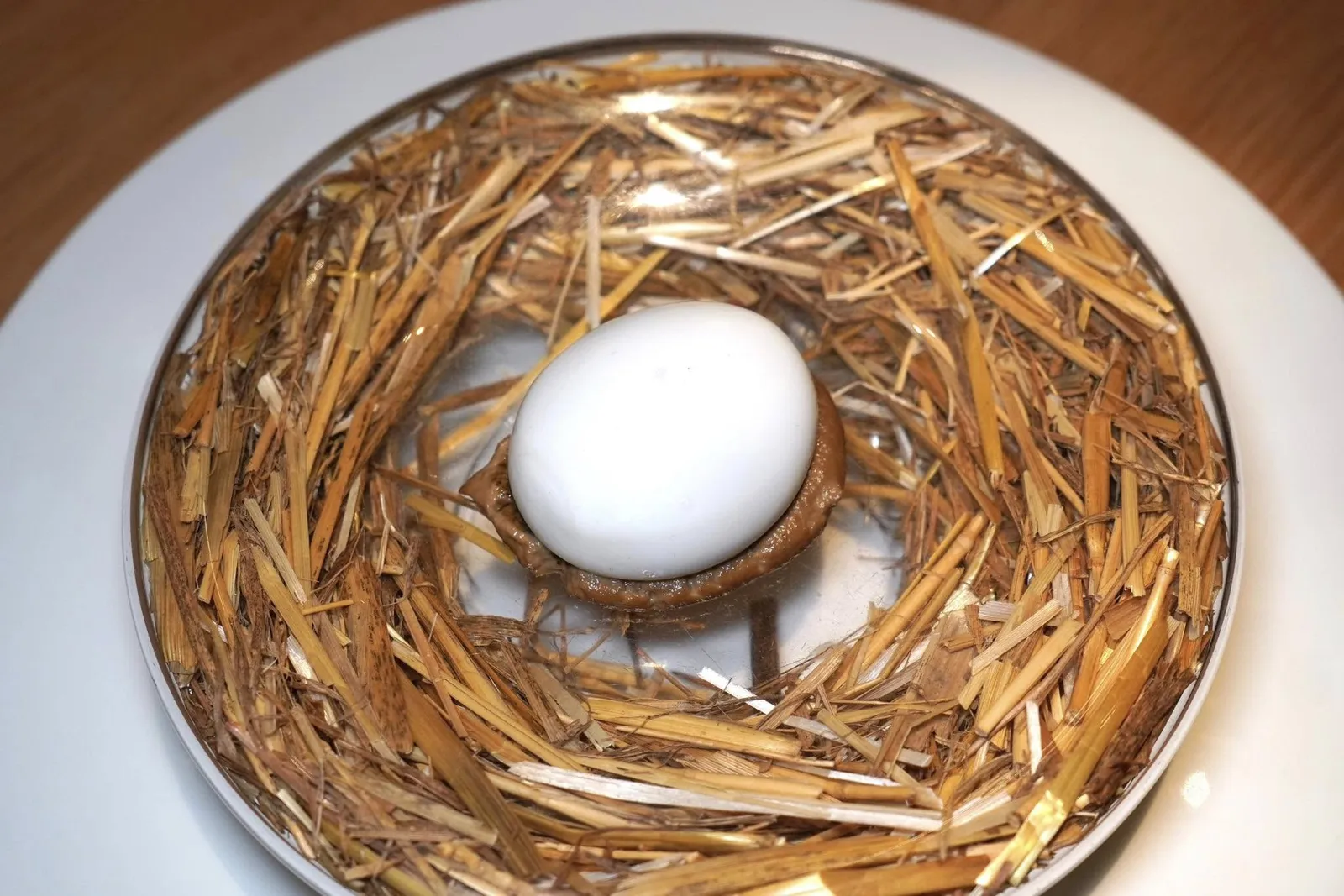 L'œuf poule Carrus « pourri » de truffe melanosporum sur une purée de champignons, briochine tiède et cappuccino à boireสุดยอดเมนูระดับพระกาฬประจำร้านคือ Rotten Egg มีองค์ประกอบที่สำคัญคือไข่ไก่จากฟาร์ม Carrus ใน Laga Valley ซึ่งเป็นเพื่อนของเชฟ Goujon เสิร์ฟมาบนจานใสเผยให้เห็นหญ้าฟางที่ตกแต่งเอาไว้ด้านล่าง (20/20)