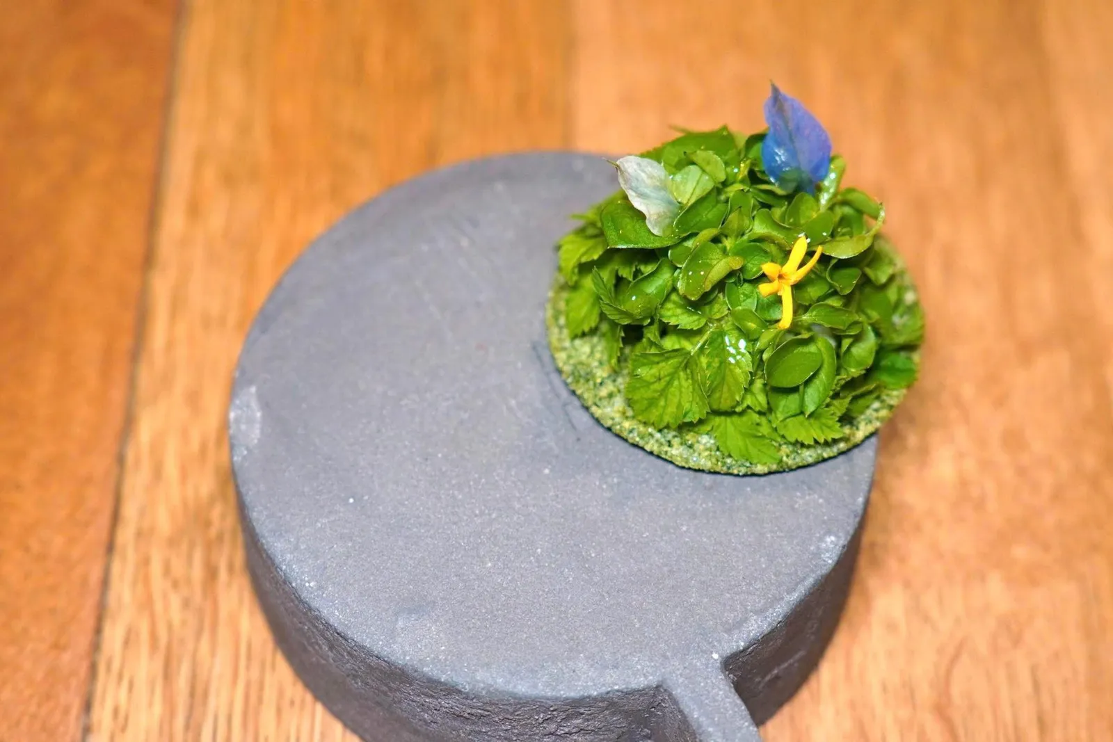Wild plants, cottage cheese and dried fruitsOpen Sandwich ที่เตรียมมาจากพืชป่าของแถบ Soča Valley องค์ประกอบแรกด้านล่างคือแผ่น Taco กรอบ ๆ ที่มีสีเขียวมาจาก Nettles ตรงกลางคือ Fermented Bean Paste จัยคู่ดับความหวานของผล Apricot แห้งอีกเล็กน้อย นอกจากนี้ยังมีความฝาดของ Skuta ซึ่งเป็น Cottage Cheese นมแพะท้องถิ่นของประเทศสโลวีเนีย (17/20)