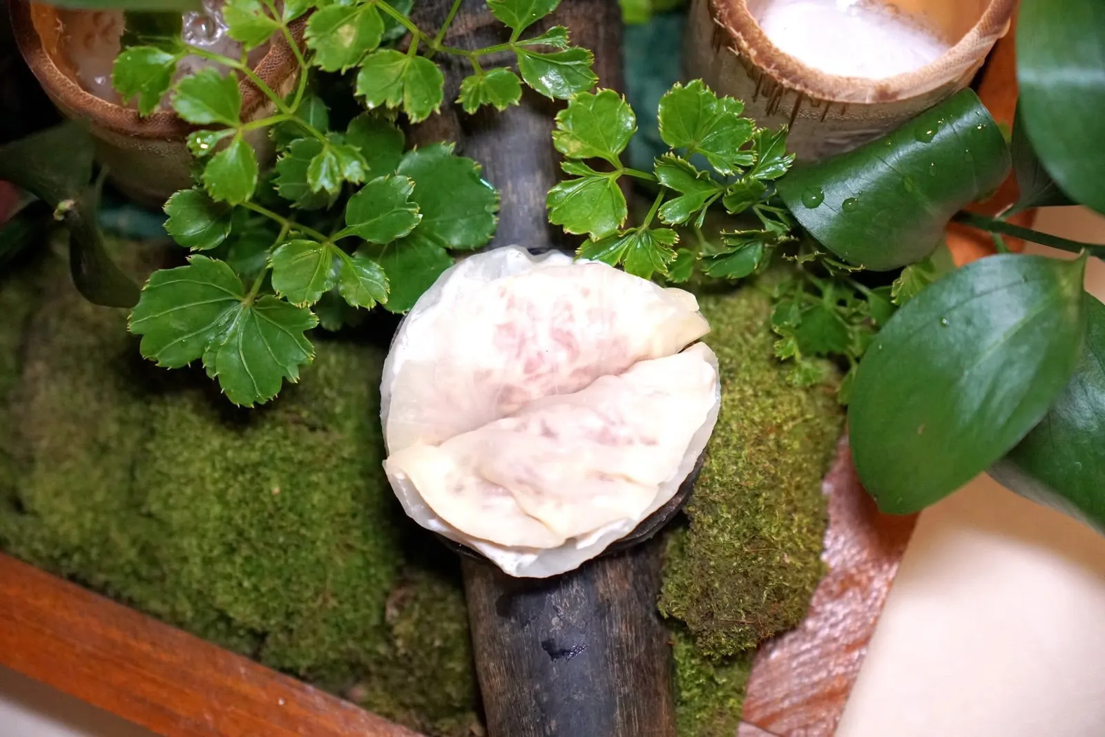 Amuse-boucheสุดท้ายคือ Fermented Cabbage หรือกะหล่ำปลีดอง ด้านในสอดไส้ Tartare เนื้อควายให้รสชาติที่มีมิติ (15/20)