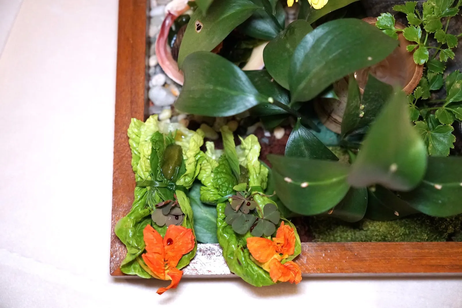 Amuse-boucheเริ่มต้นมื้อด้วย Roll Bouquet เตรียมมาจากสลัดผักสมุนไพรหลายชนิด ด้านในมีซอร์เบท์กระเจี๊ย่วยเรียกความสดชื่น (15/20)