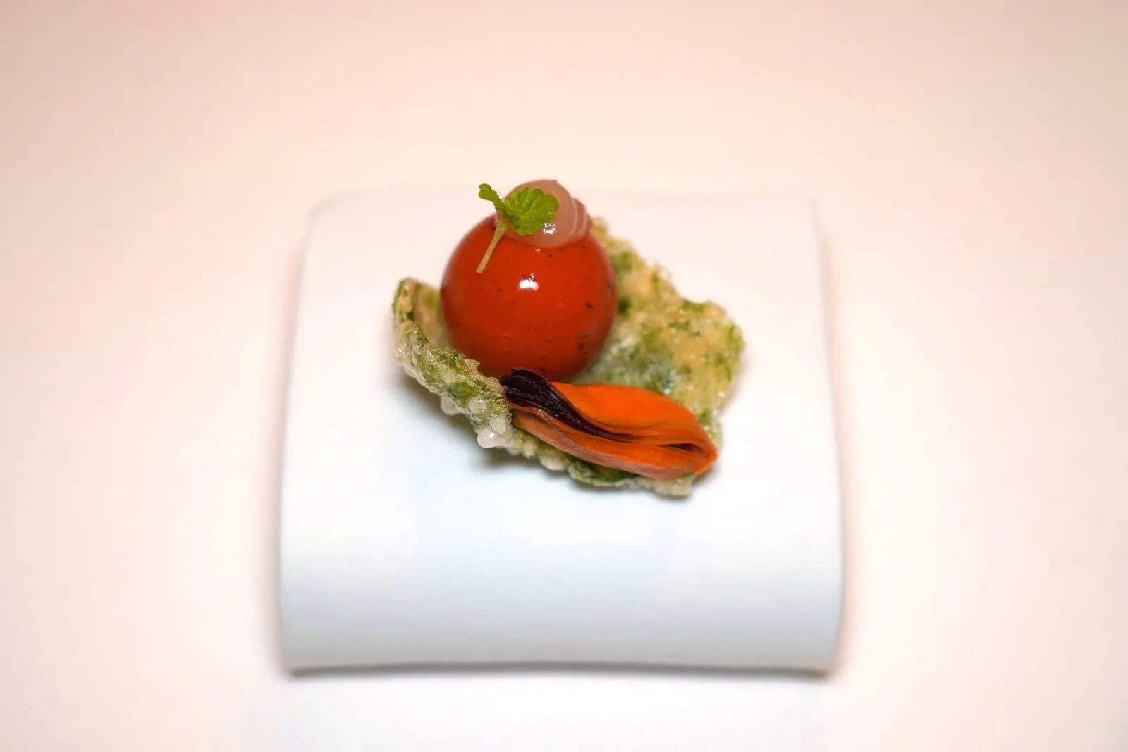 AMUSE-BOUCHEOrbetello เป็นเมืองที่มีชื่อเสียงในเรื่องของฟาร์มปลาและหอย เชฟจึงหยิบยกหอยแมลงภู่เสิร์ฟมาบนสาหร่ายที่คลุกกับแป้งมันสำะหลัง จากนั้นผ่านการทอดแบบเทมปุระจนกรอบ นอกจากนี้ยังมี Saffron Sphere ทรงกลมที่จะแตกระเบิดออกในปาก ด้านในบรรจุน้ำ เลมอน และพริกไทย (17/20)