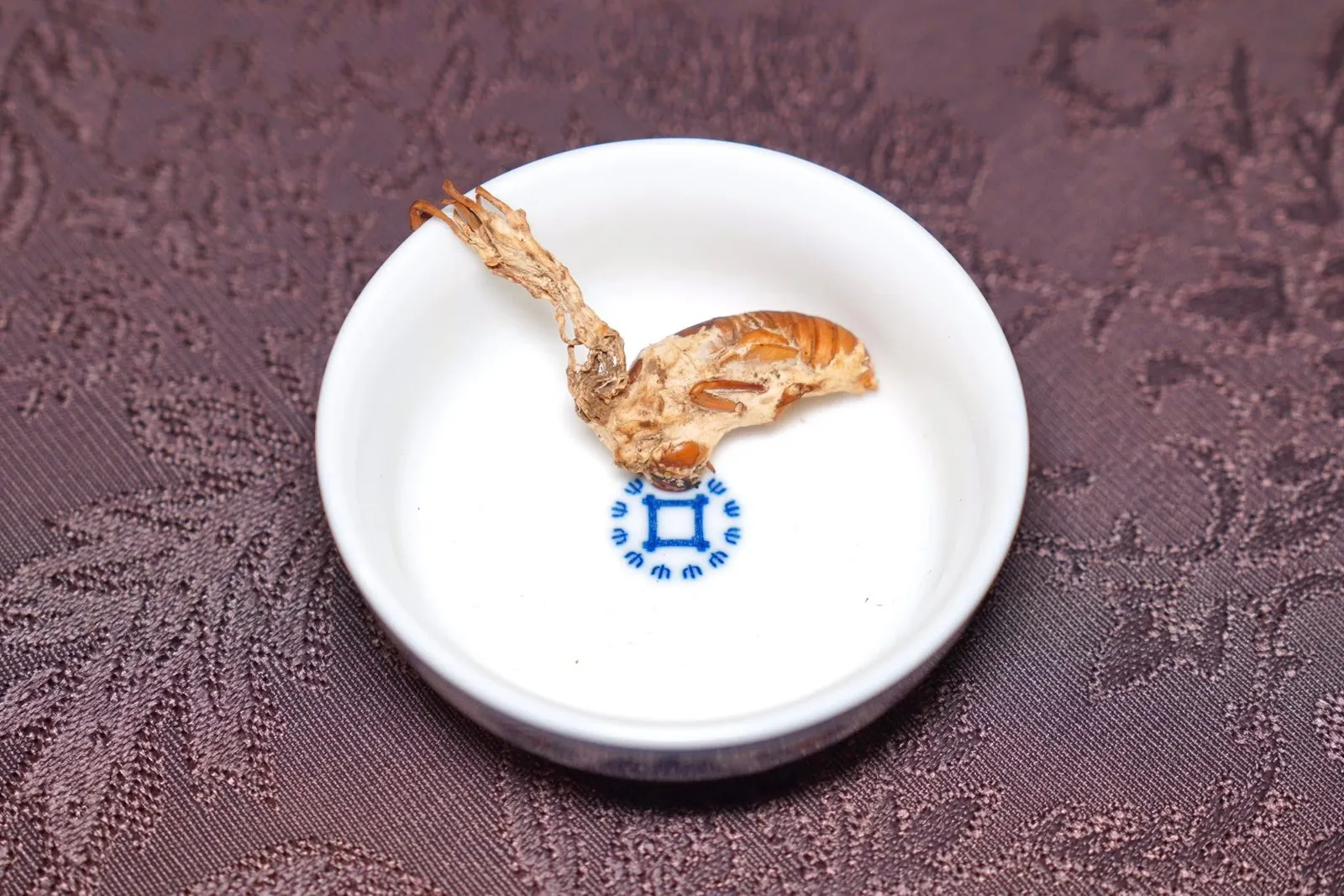 金蝉银钢พนักงานจะนำ Golden Cicada Flower มาให้ลูกค้าชมกัน (15/20)