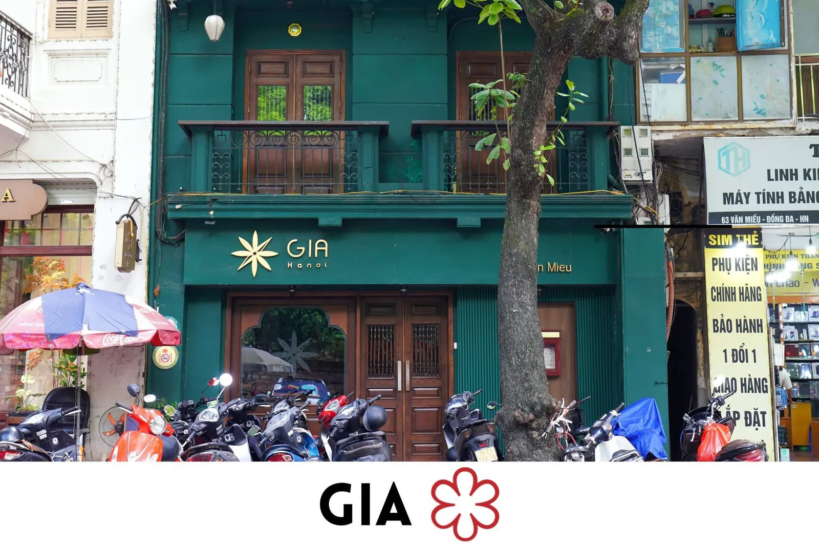 Gia